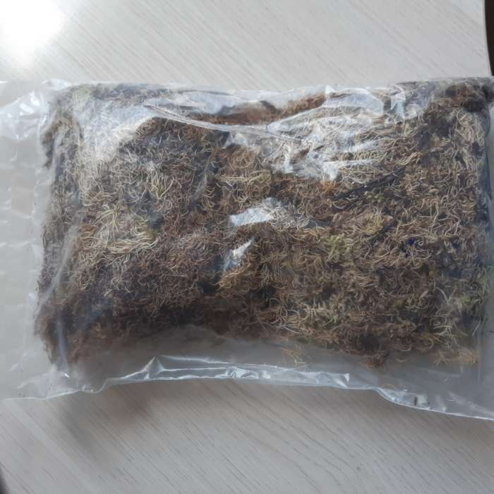 Фотография покупателя товара Мох сфагнум для террариумов «Рецепты дедушки Никиты» 2 л - Фото 11