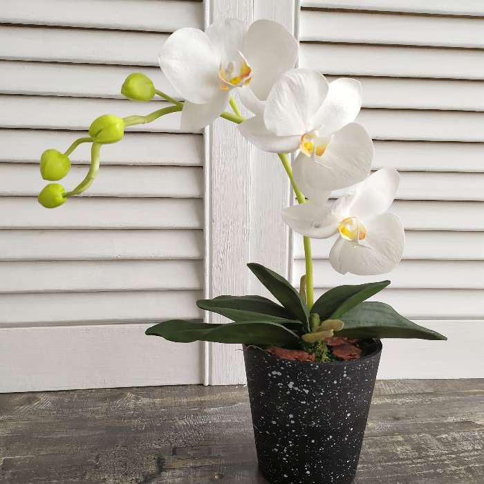 Фотография покупателя товара Кашпо «Марбл», 450 мл, цвет МИКС - Фото 1