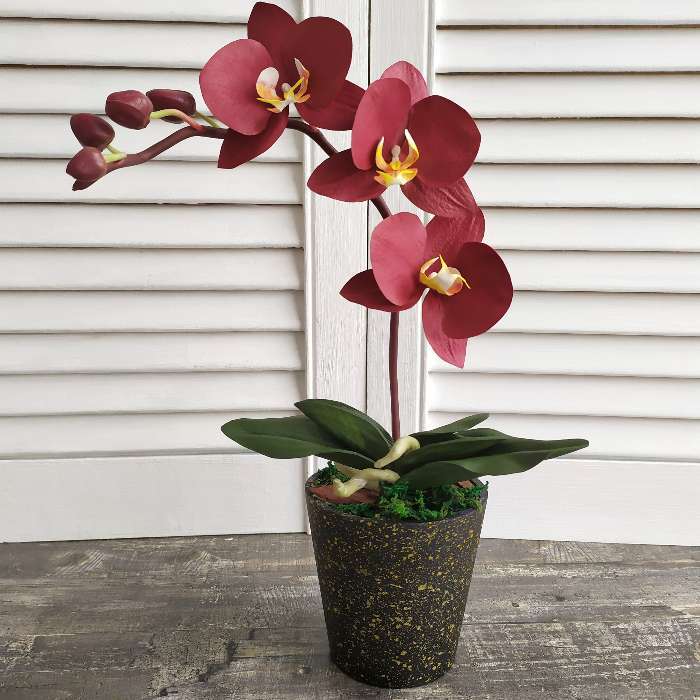 Фотография покупателя товара Кашпо «Марбл», 450 мл, цвет МИКС - Фото 2