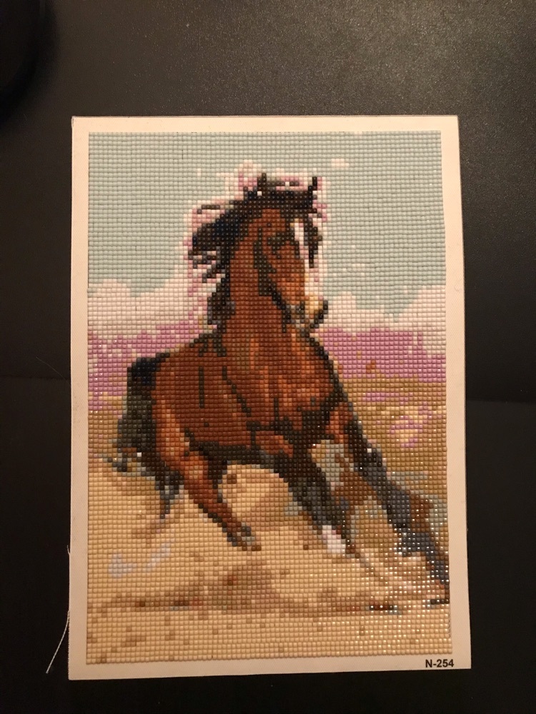 Фотография покупателя товара Алмазная мозаика «Дикий конь», 23 цвета - Фото 1