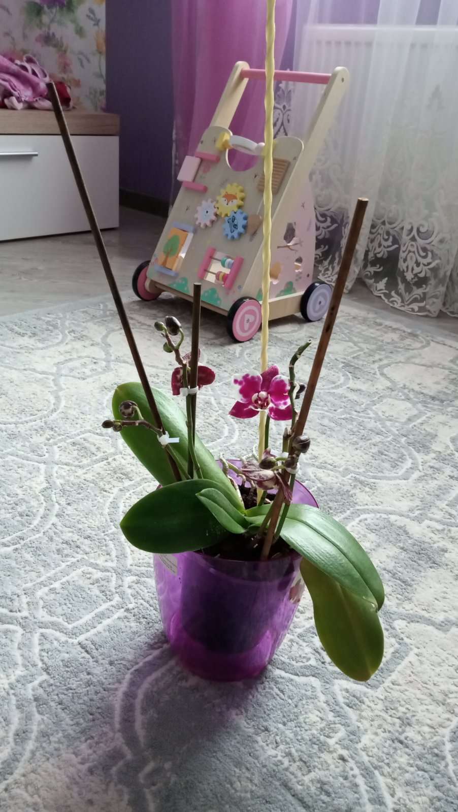 Фотография покупателя товара Колышек для подвязки растений, h = 50 см, d = 0.6 см, стеклопластик, Greengo