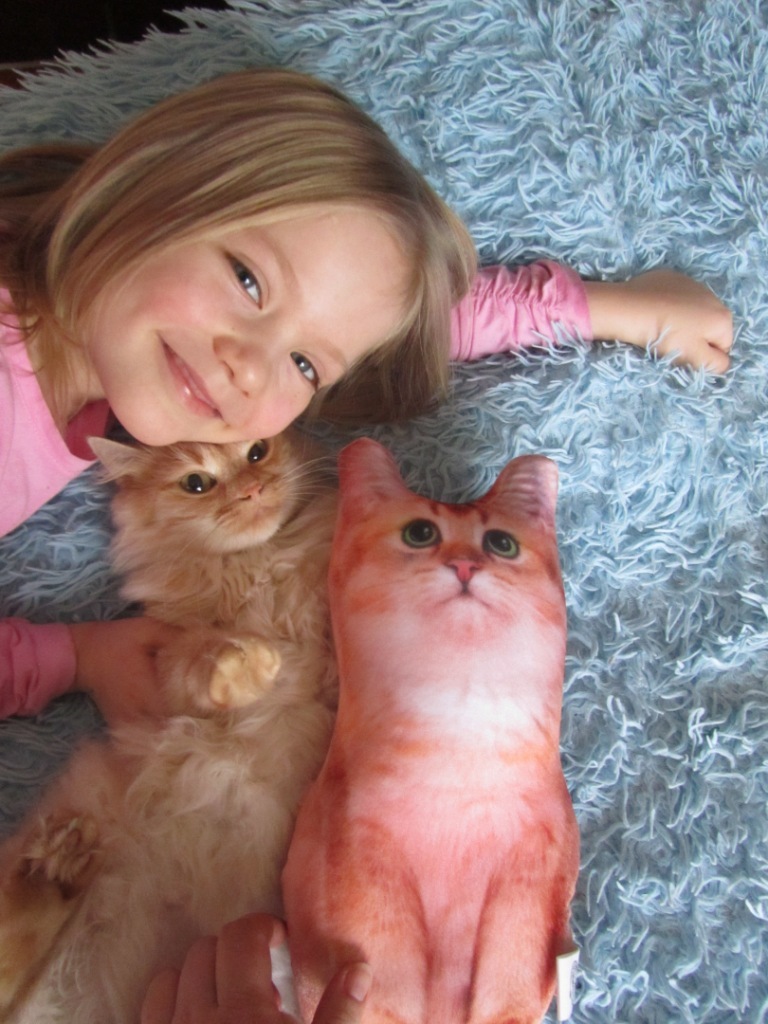 Фотография покупателя товара Игрушка-антистресс «Рыжий кот», 19х28 см - Фото 5