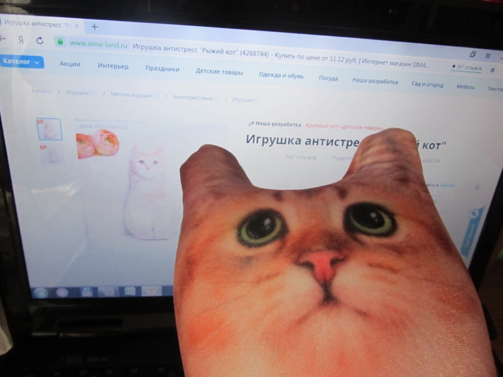 Фотография покупателя товара Игрушка-антистресс «Рыжий кот», 19х28 см