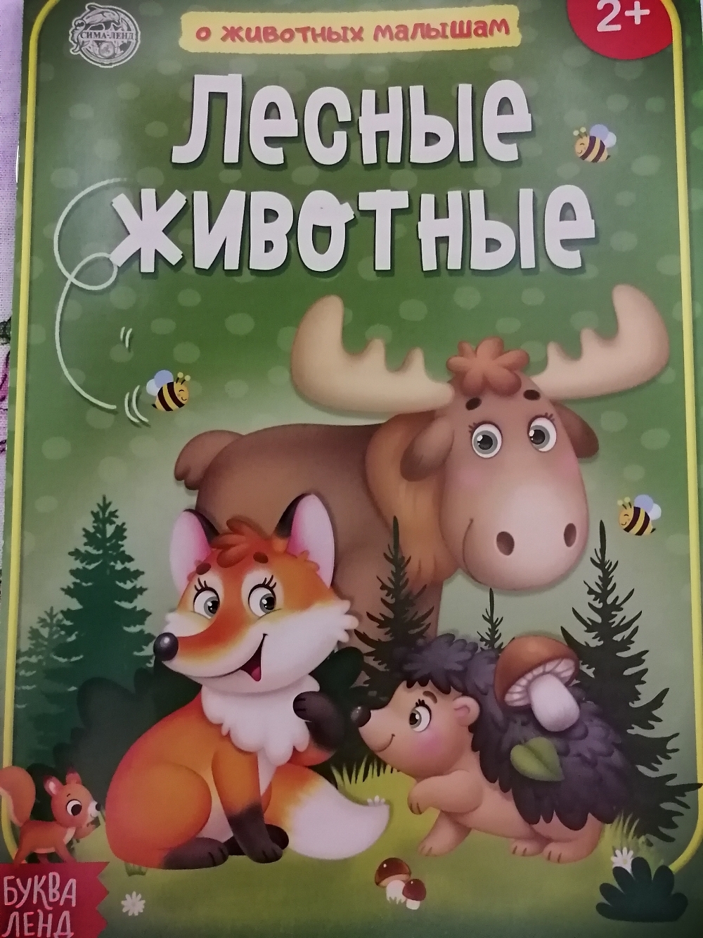 Фотография покупателя товара Книга «Лесные животные» 12 стр. - Фото 3