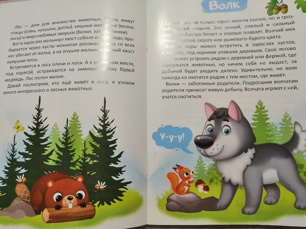 Фотография покупателя товара Книга «Лесные животные» 12 стр. - Фото 4
