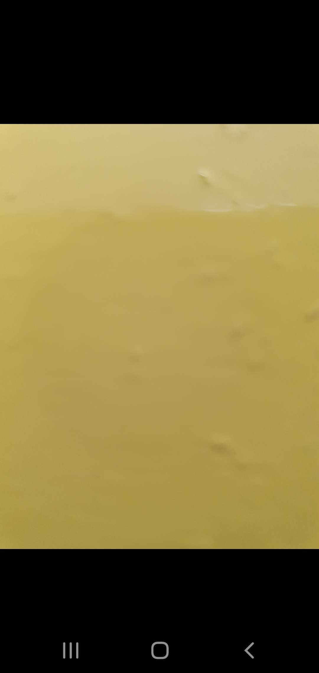 Фотография покупателя товара Клумба оцинкованная, d = 60 см, h = 15 см, жёлтая, Greengo - Фото 3