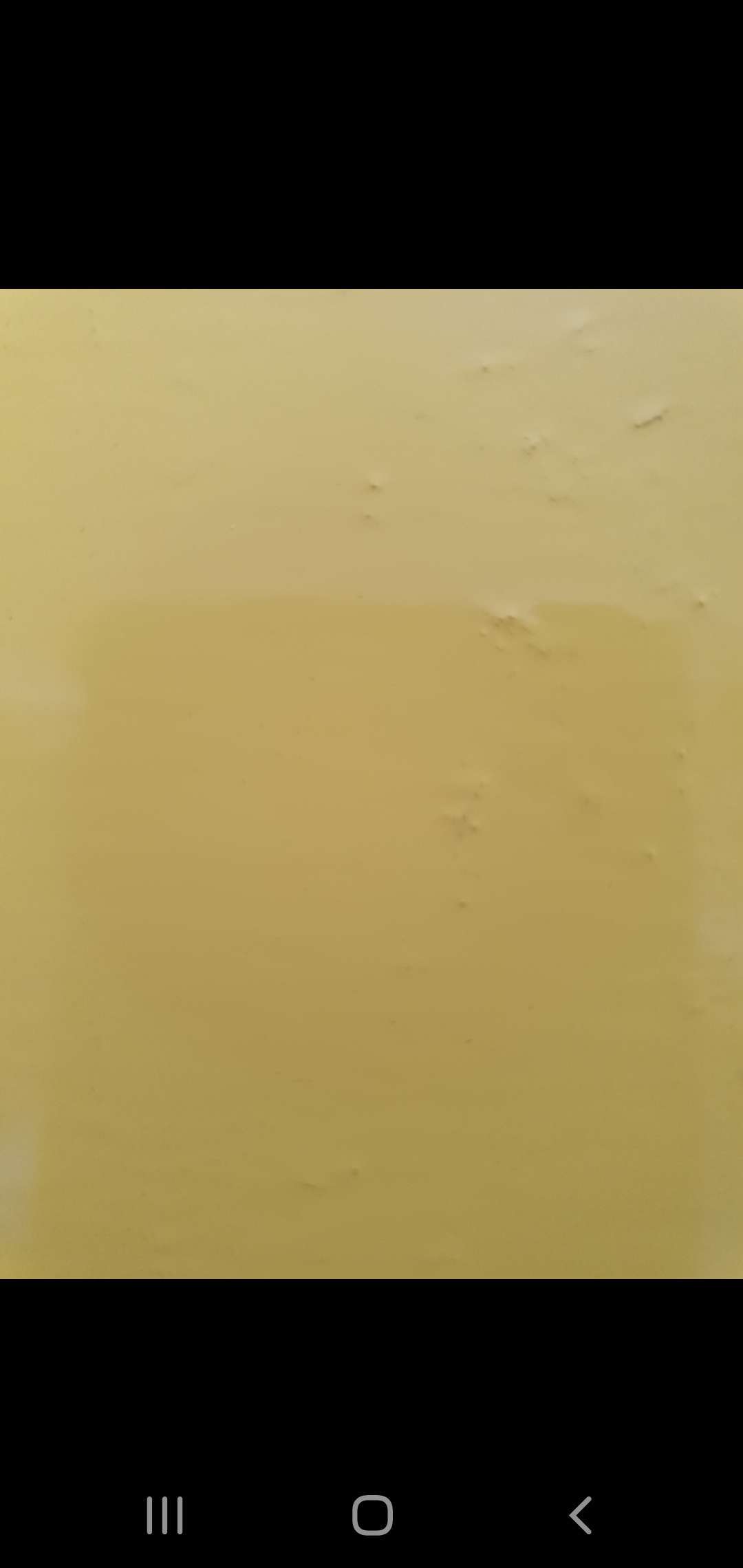 Фотография покупателя товара Клумба оцинкованная, d = 60 см, h = 15 см, жёлтая, Greengo - Фото 7
