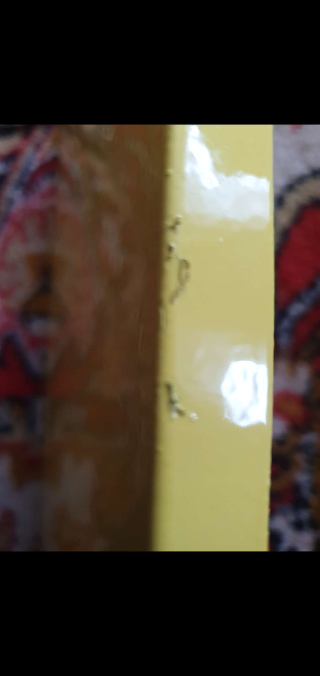 Фотография покупателя товара Клумба оцинкованная, d = 60 см, h = 15 см, жёлтая, Greengo - Фото 6