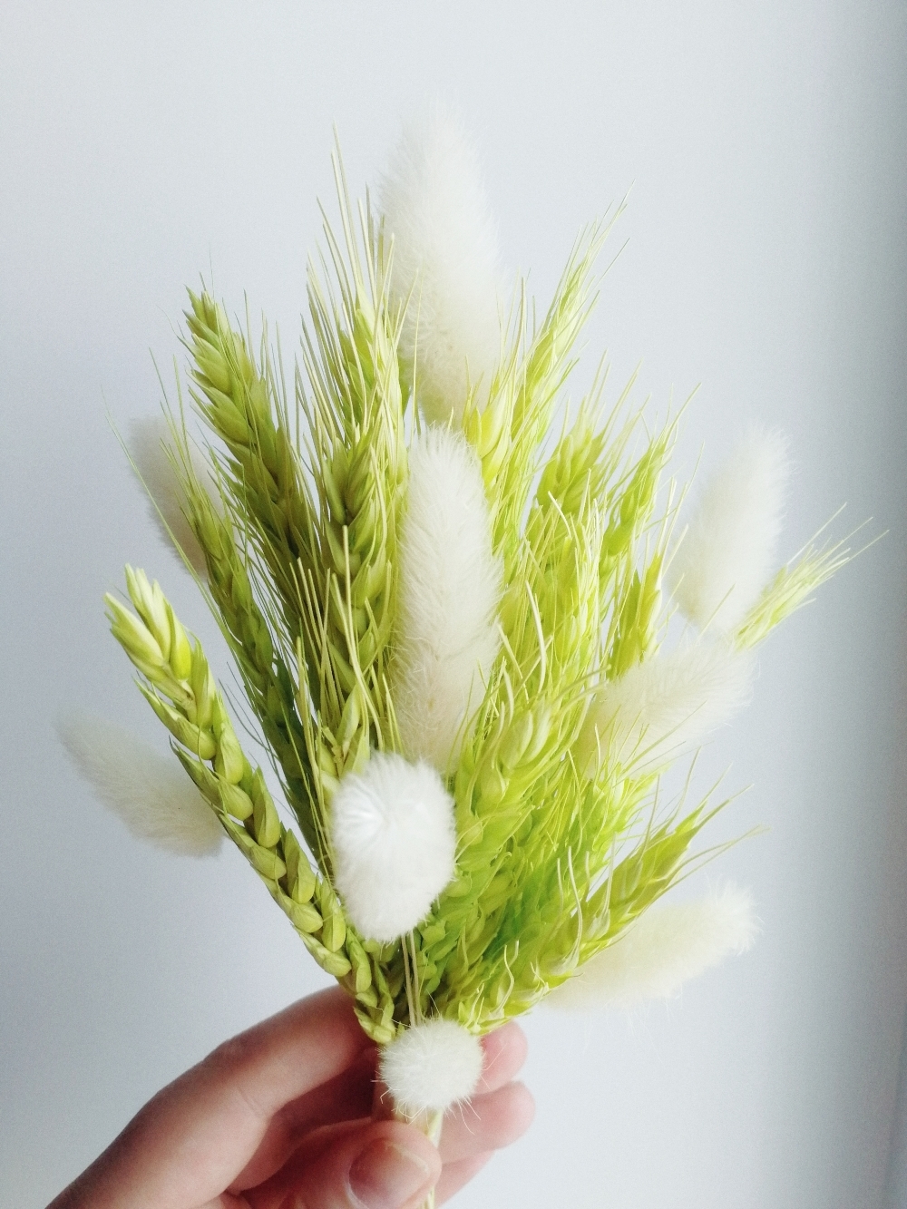 Фотография покупателя товара Сухой колос пшеницы, набор 50 шт., цвет жёлтый - Фото 11
