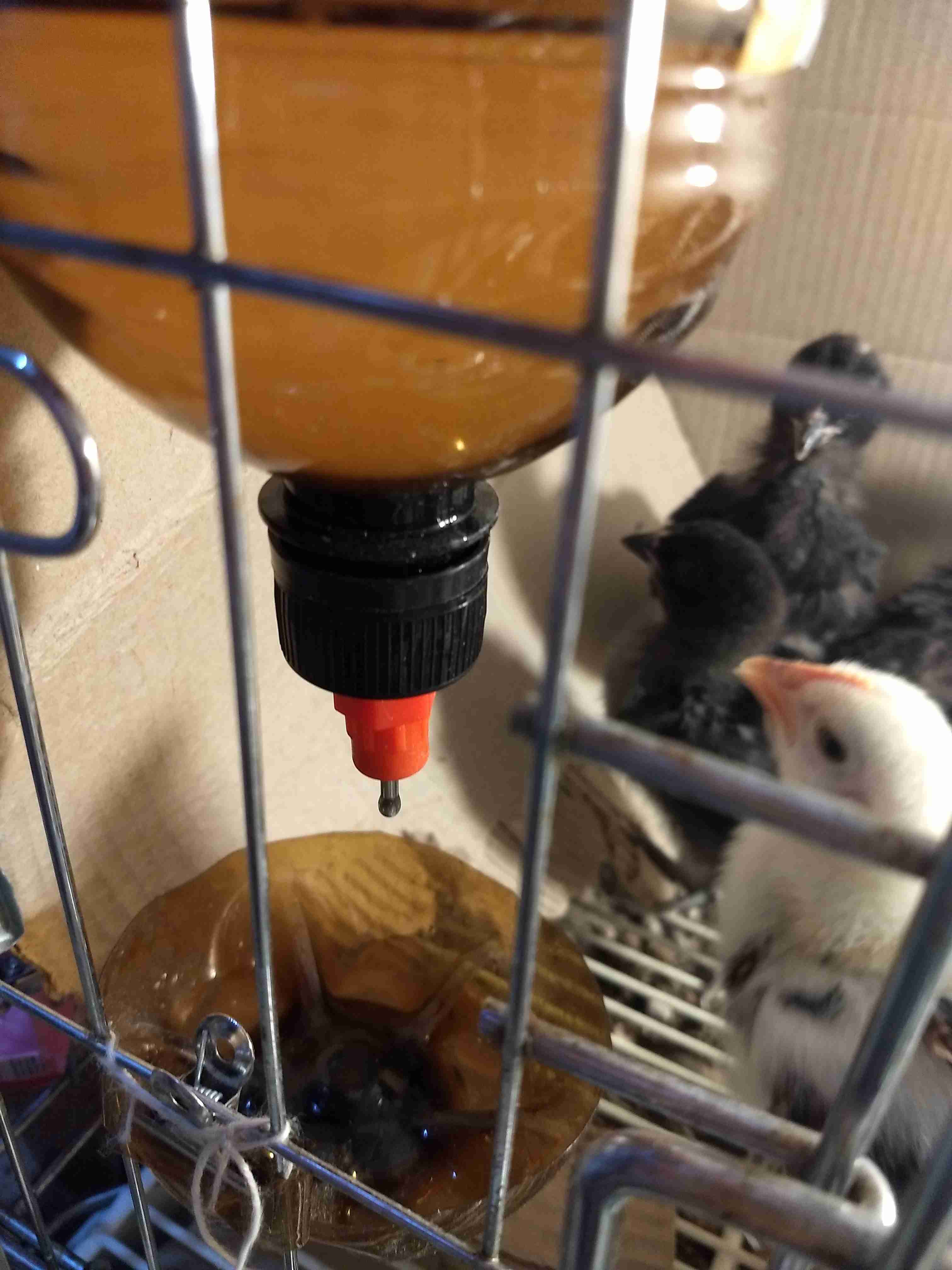 Фотография покупателя товара Поилка ниппельная для домашней птицы