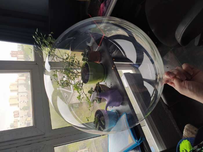 Фотография покупателя товара Шар полимерный 18" «Единорог радужный» с палочкой, шар в шаре