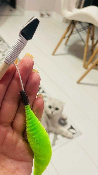 Фотография покупателя товара Дразнилка - удочка «Веселый червячок» на деревянной палочке, микс цветов - Фото 3