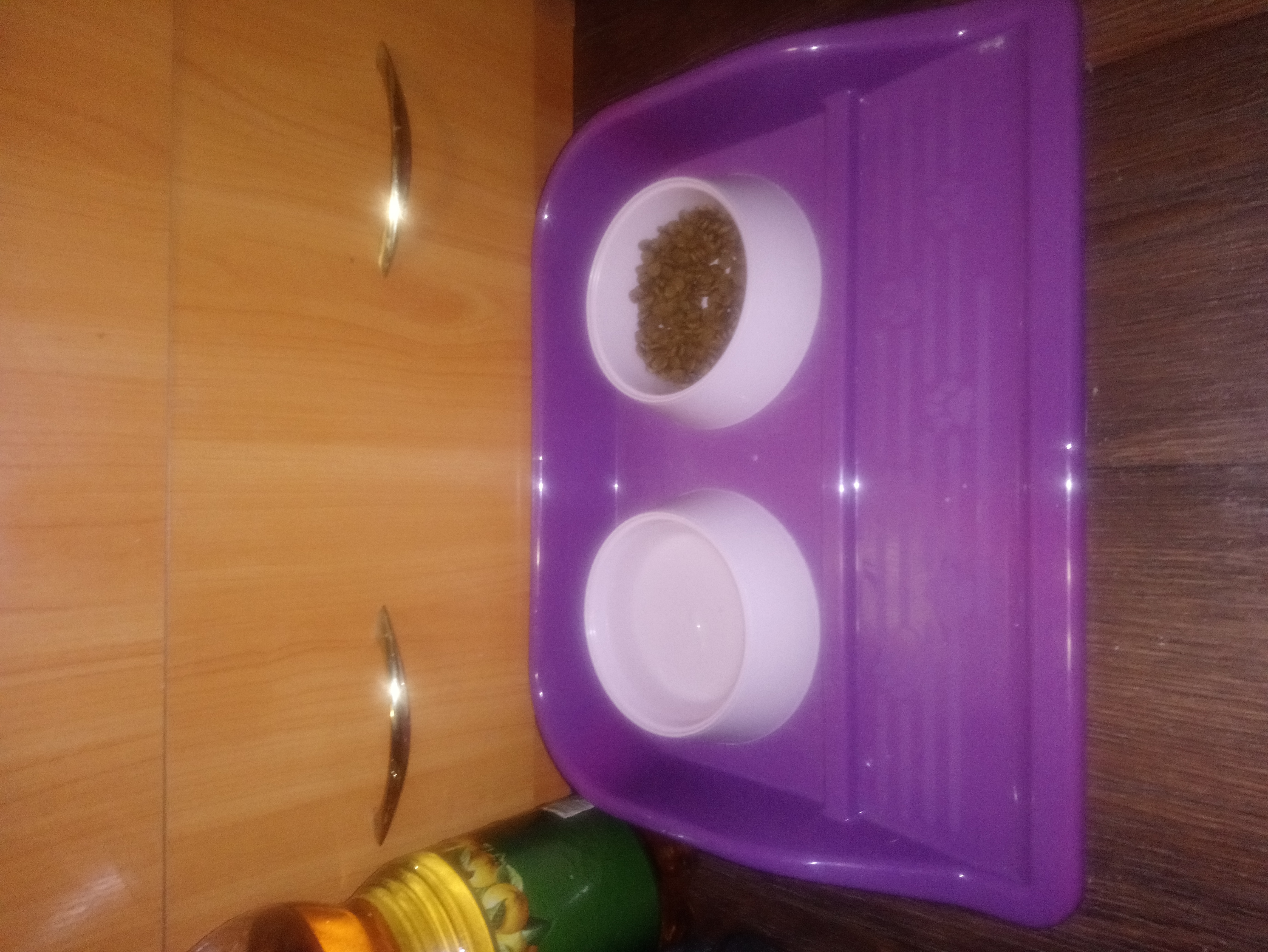 Фотография покупателя товара Миски с лотком "Феликс" 0,3 л, 41 x 30 x 6 см, фиолетовый лоток, белые миски - Фото 46