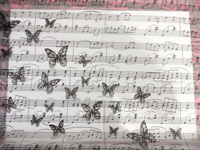 Фотография покупателя товара Пленка матовая для цветов в рулонах «Воздушная музыка», 0.68 × 8 м - Фото 2