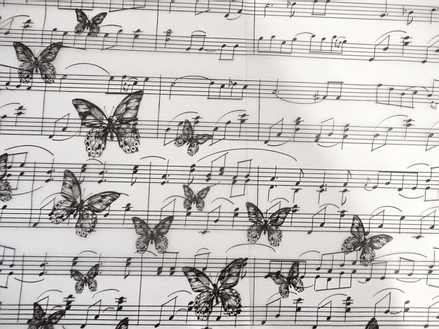 Фотография покупателя товара Пленка матовая для цветов в рулонах «Воздушная музыка», 0.68 × 8 м - Фото 3