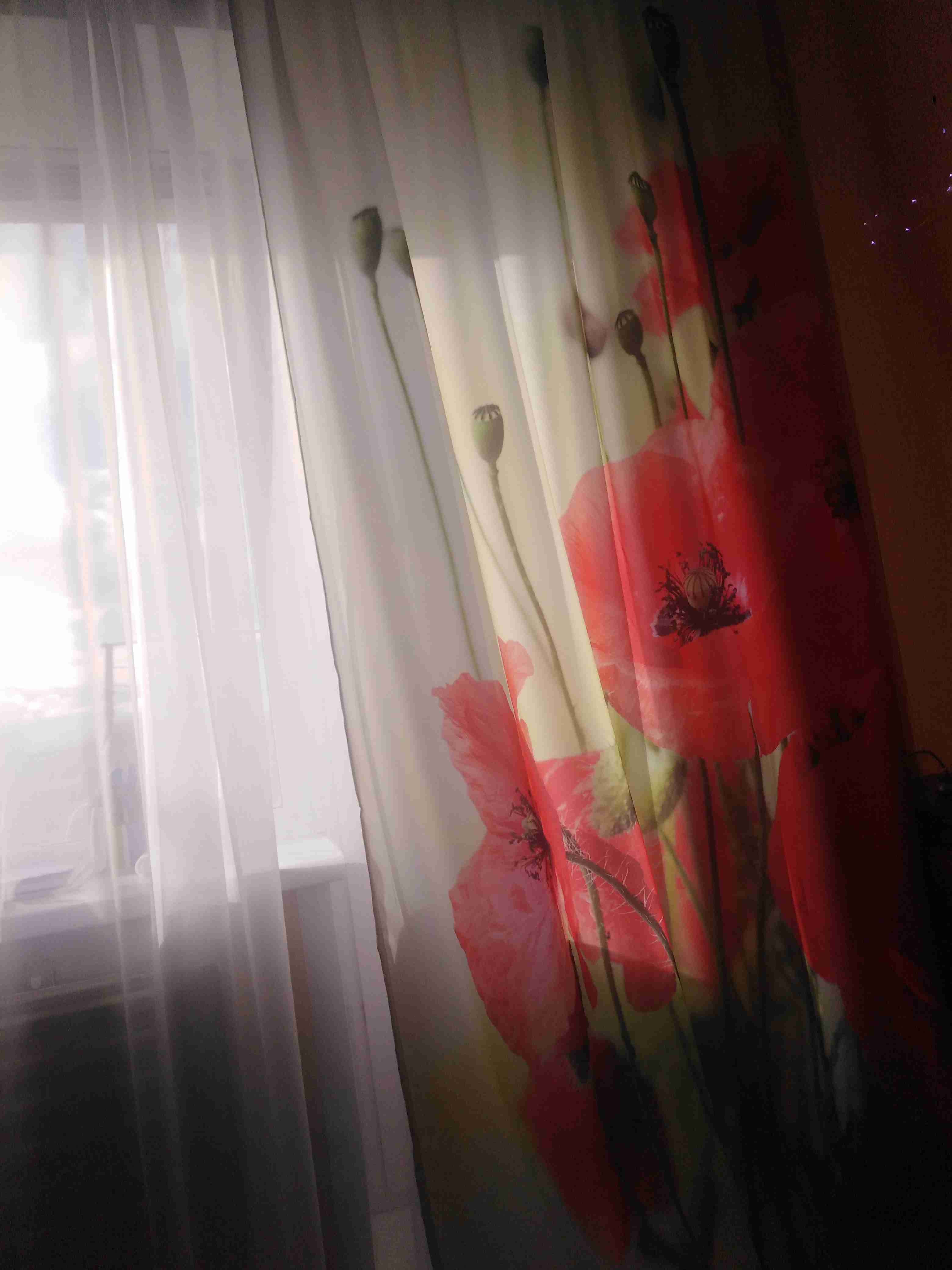 Фотография покупателя товара Комплект штор «Маки на зеленом фоне», размер 145 х 260 см, 2 шт., габардин - Фото 1
