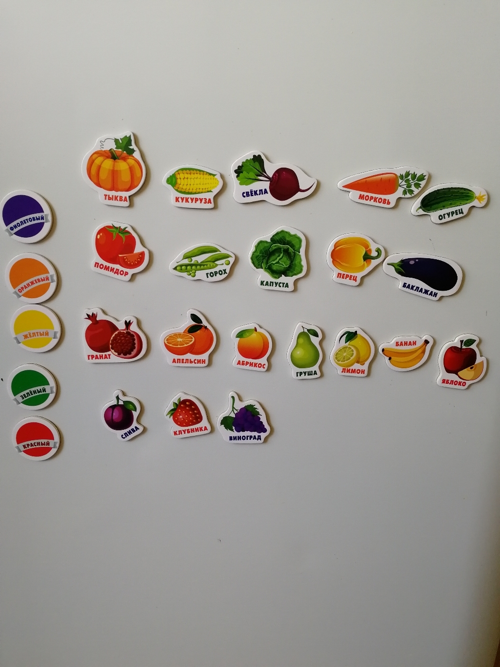 Фотография покупателя товара Развивающие магниты «Изучаем цвета и овощи - фрукты» (набор 25 шт.) - Фото 13