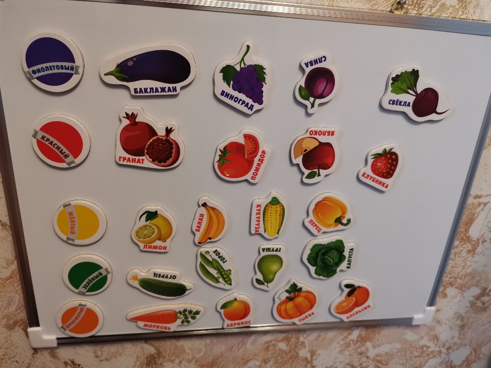 Фотография покупателя товара Развивающие магниты «Изучаем цвета и овощи - фрукты» (набор 25 шт.) - Фото 12