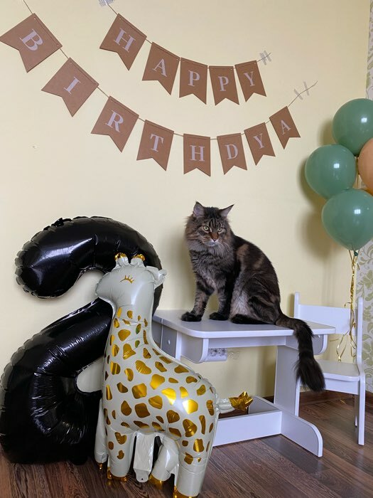 Фотография покупателя товара Воздушный шар фольгированный 24" «Жираф», фигура - Фото 2