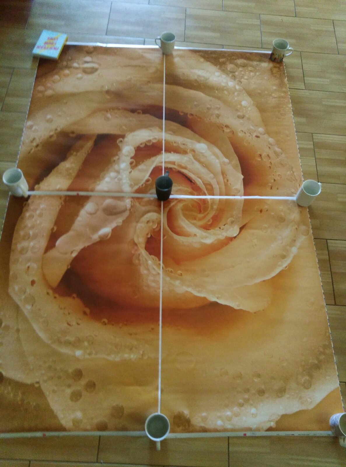 Фотография покупателя товара Фотообои Утренняя роза ЛЮКС 1,94х1,36 м (из 4 листов) - Фото 1