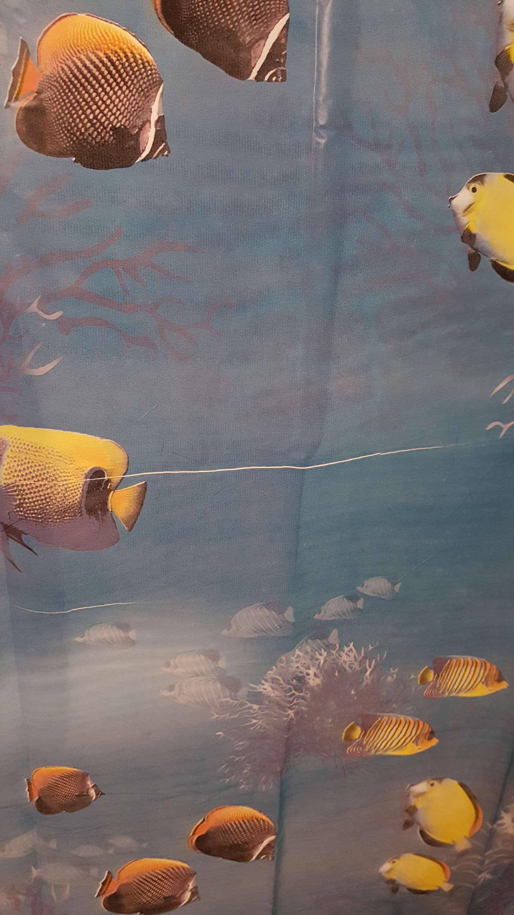 Фотография покупателя товара Штора для ванны Доляна «Рыбки», 180×180 см, EVA