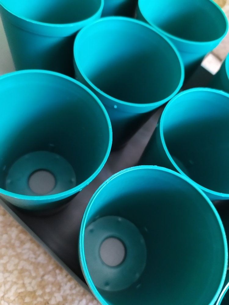 Фотография покупателя товара Набор для рассады: стаканы по 250 мл (18 шт.), поддон 40 × 20 см, цвет МИКС, Greengo - Фото 14