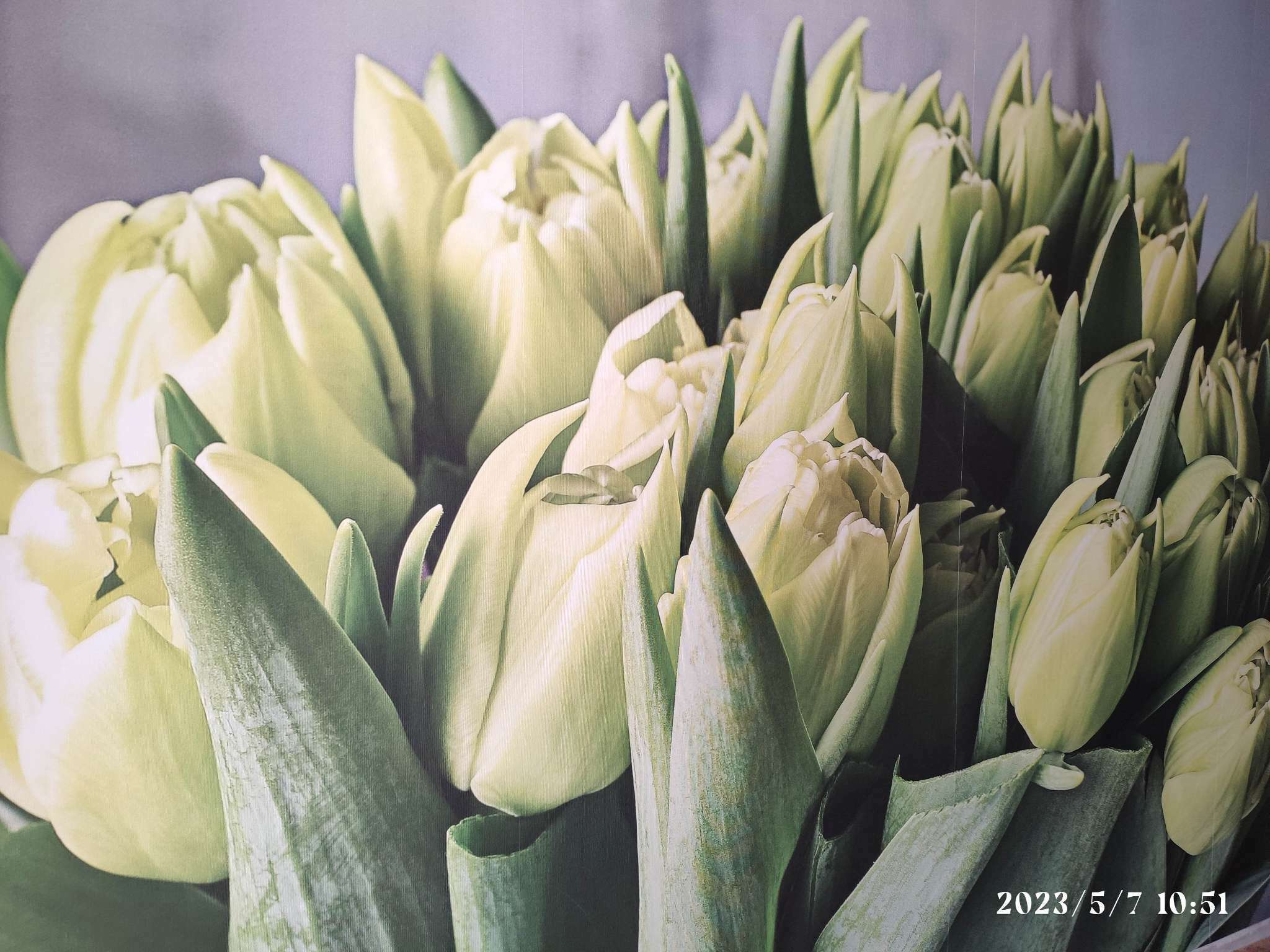 Фотография покупателя товара Фотообои "Весна" M 491 (4 полотна), 400х270 см - Фото 1