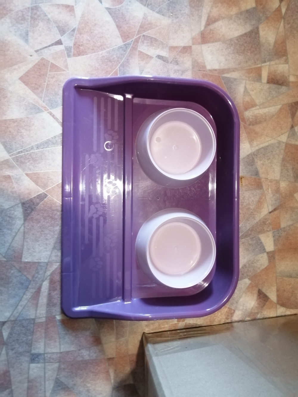 Фотография покупателя товара Миски с лотком "Феликс" 0,3 л, 41 x 30 x 6 см, фиолетовый лоток, белые миски - Фото 45