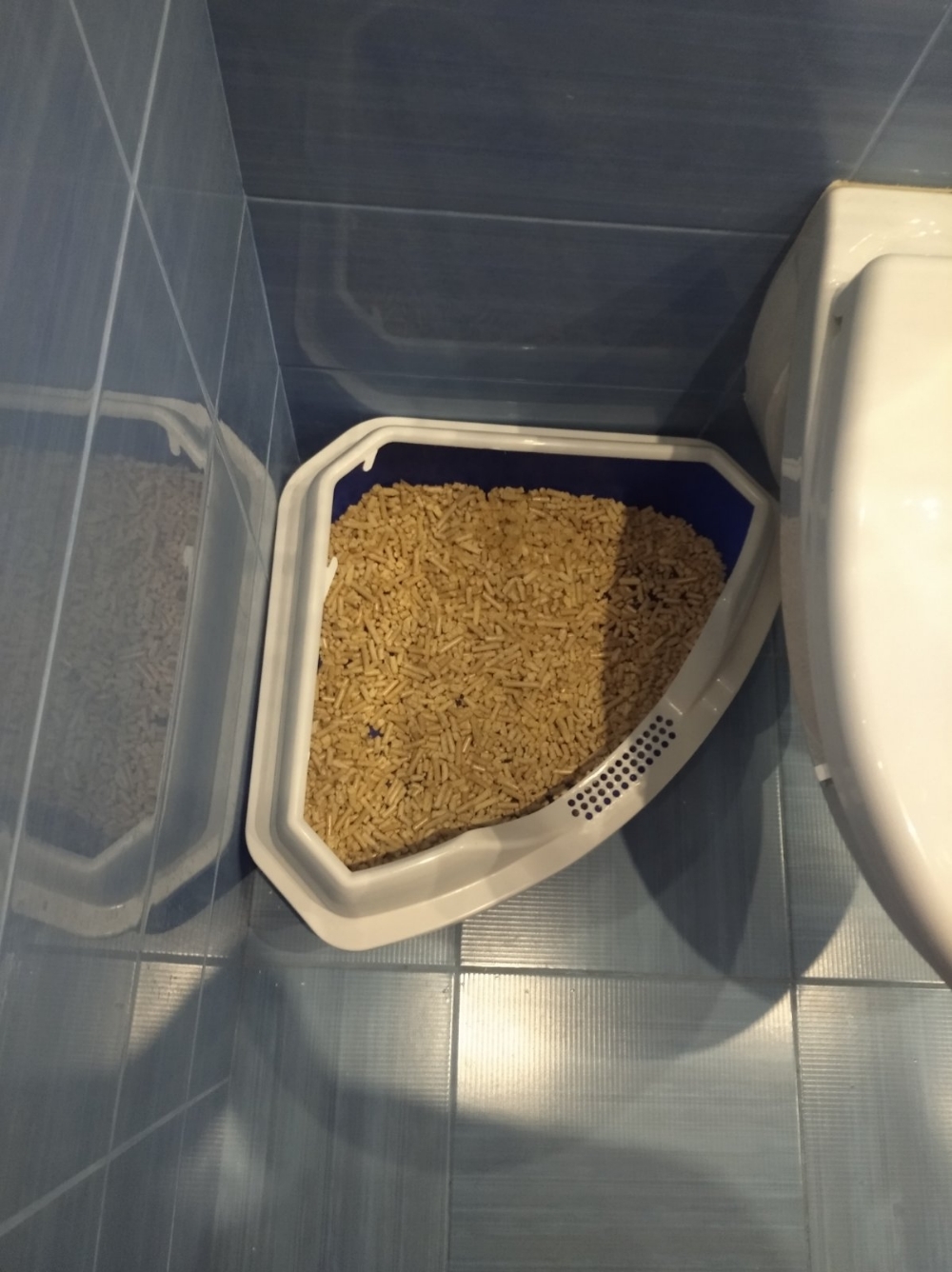 Фотография покупателя товара Туалет треугольный "Айша" с бортом 56 х 42 х 17 см, синий