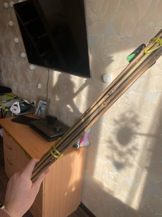 Фотография покупателя товара Колышек для подвязки растений, h=60 см, d=8-10 мм, бамбук, Greengo - Фото 3