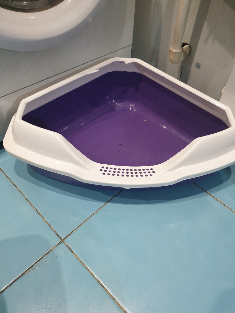 Фотография покупателя товара Туалет треугольный "Айша" с бортом 56 х 42 х 17 см, фиолетовый