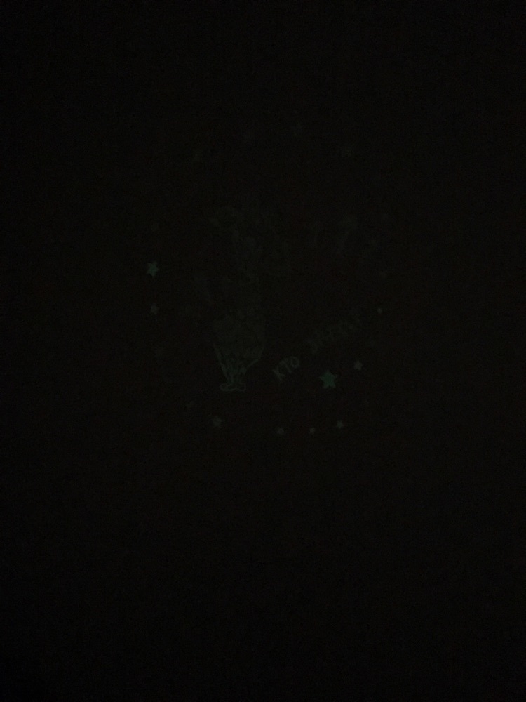 Фотография покупателя товара Наклейка интерьерная светится в темноте «Жираф», 29.7 × 42 см - Фото 3