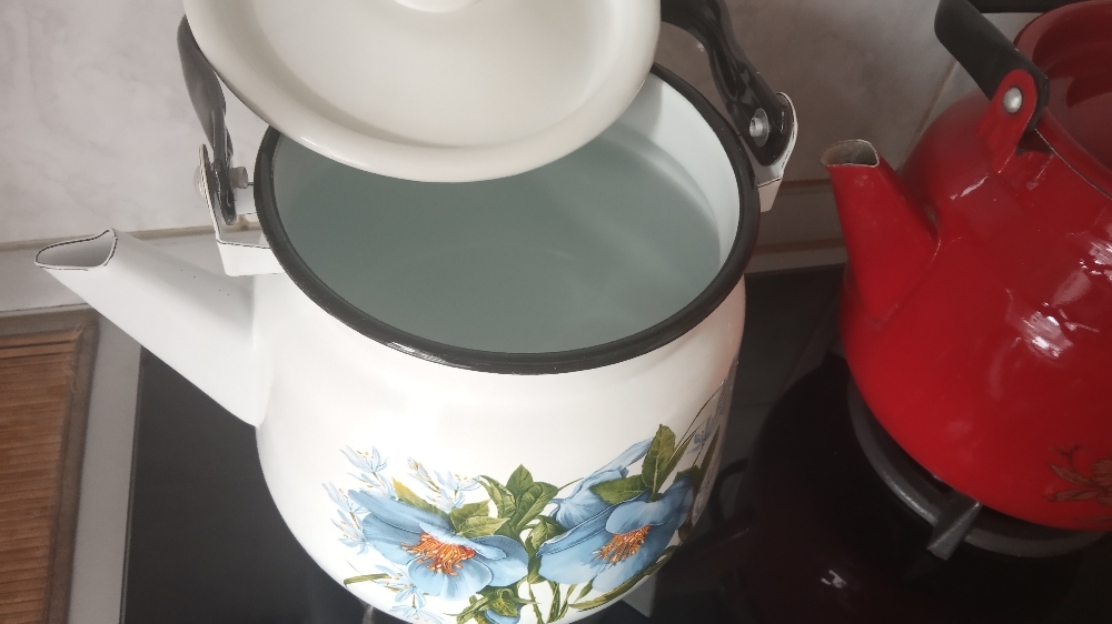 Фотография покупателя товара Чайник с кнопкой «Цветы синие», 3,5 л, индукция, цвет белый - Фото 2