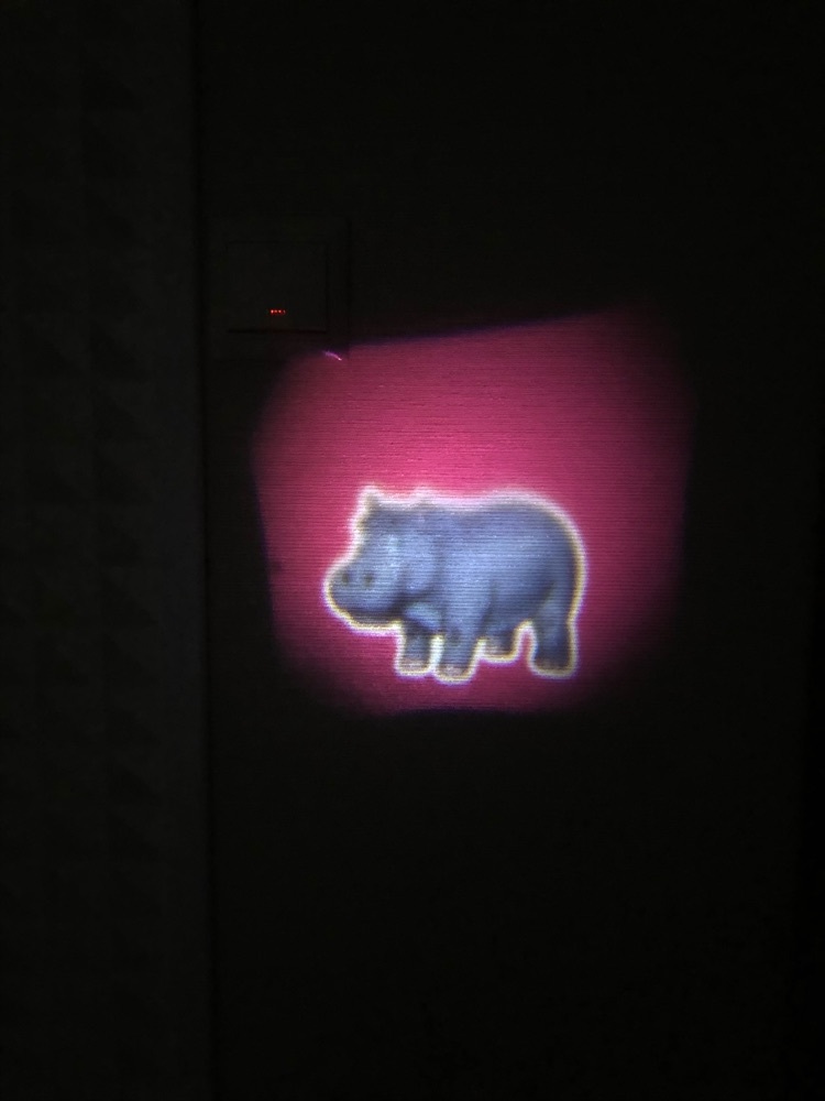 Фотография покупателя товара Проектор-фонарик «Супер-проектор №2: Мир животных»
