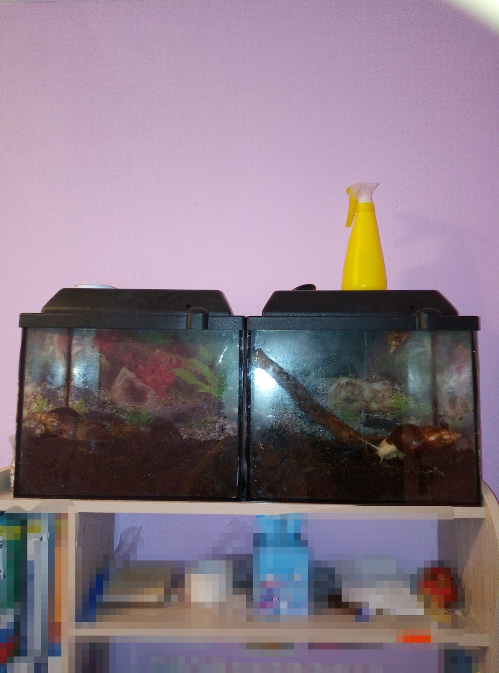 Фотография покупателя товара Аквариум "Прямоугольный" с крышкой, 20 литров, 36 х 19 х 29/34 см, чёрный