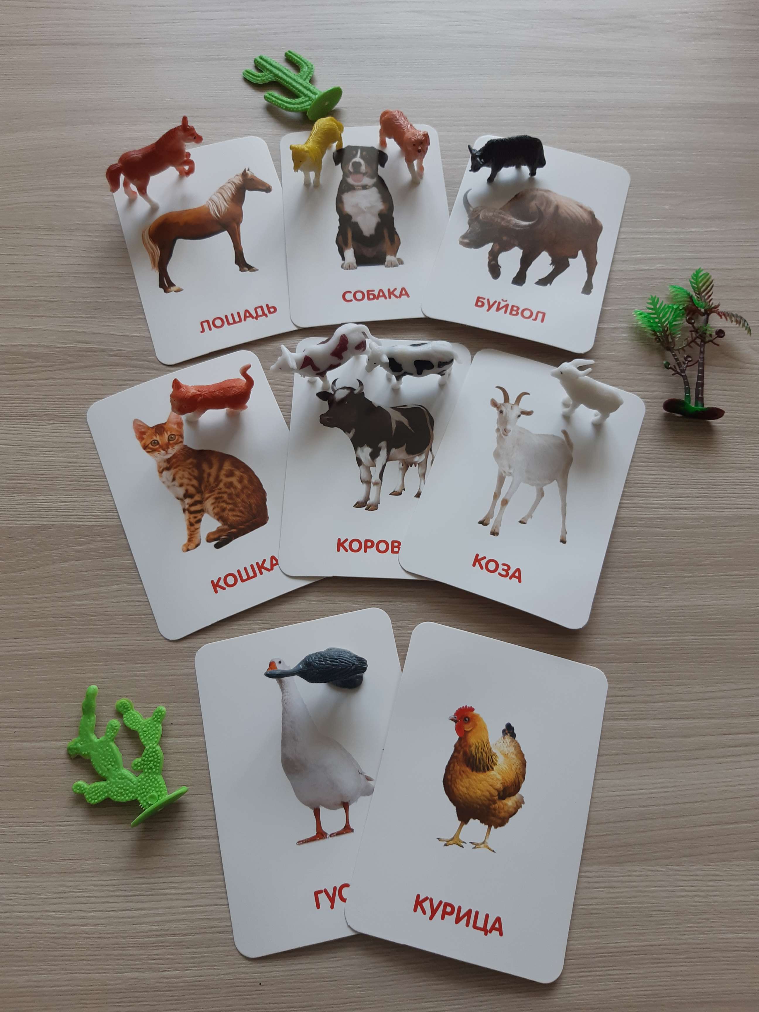 Фотография покупателя товара Развивающий набор фигурок для детей «Домашние животные» с карточками, по методике Домана - Фото 6