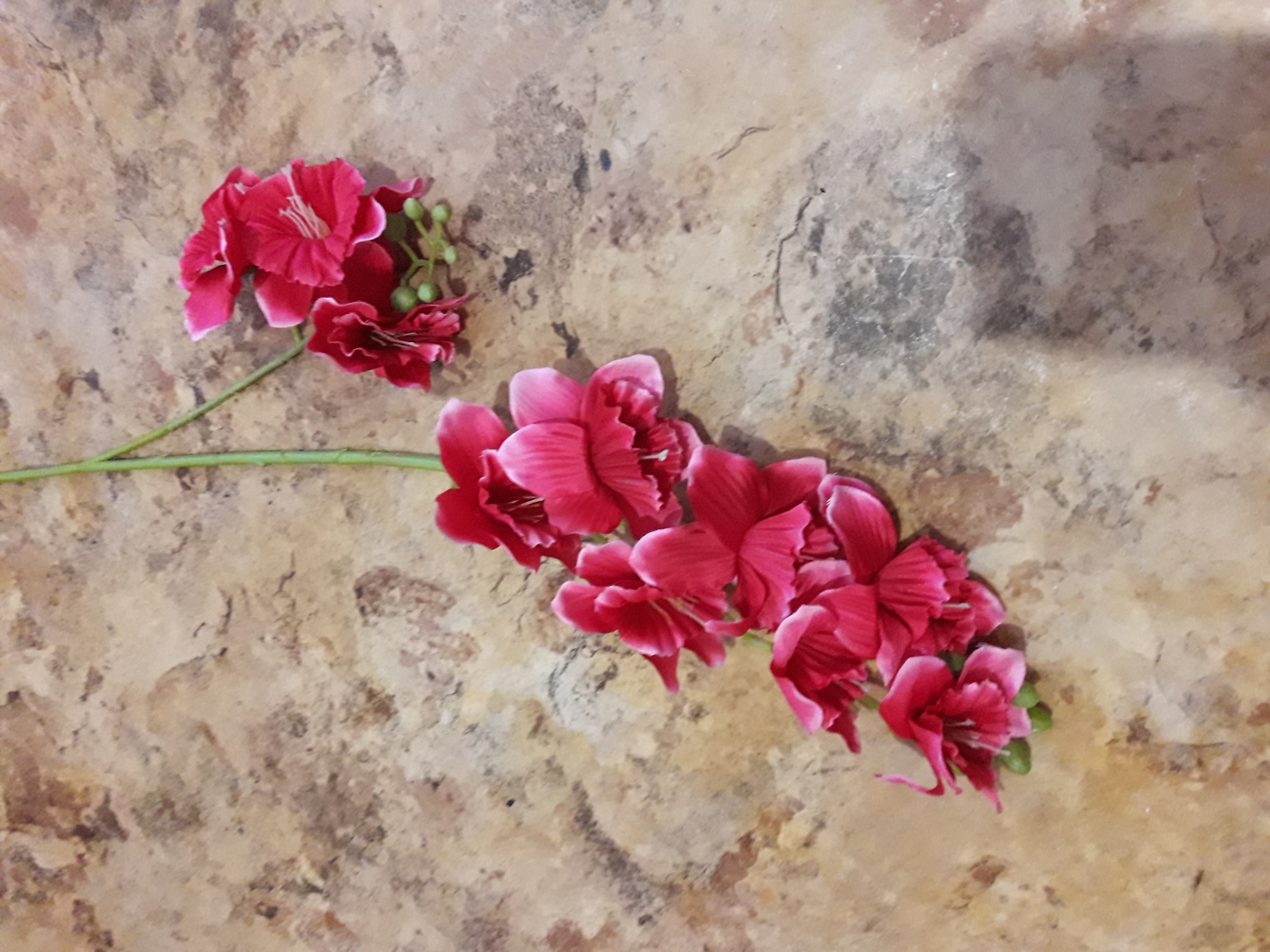Фотография покупателя товара Цветы искусственные "Дельфиниум волнистый" 7,5х82 см, малиновый - Фото 2