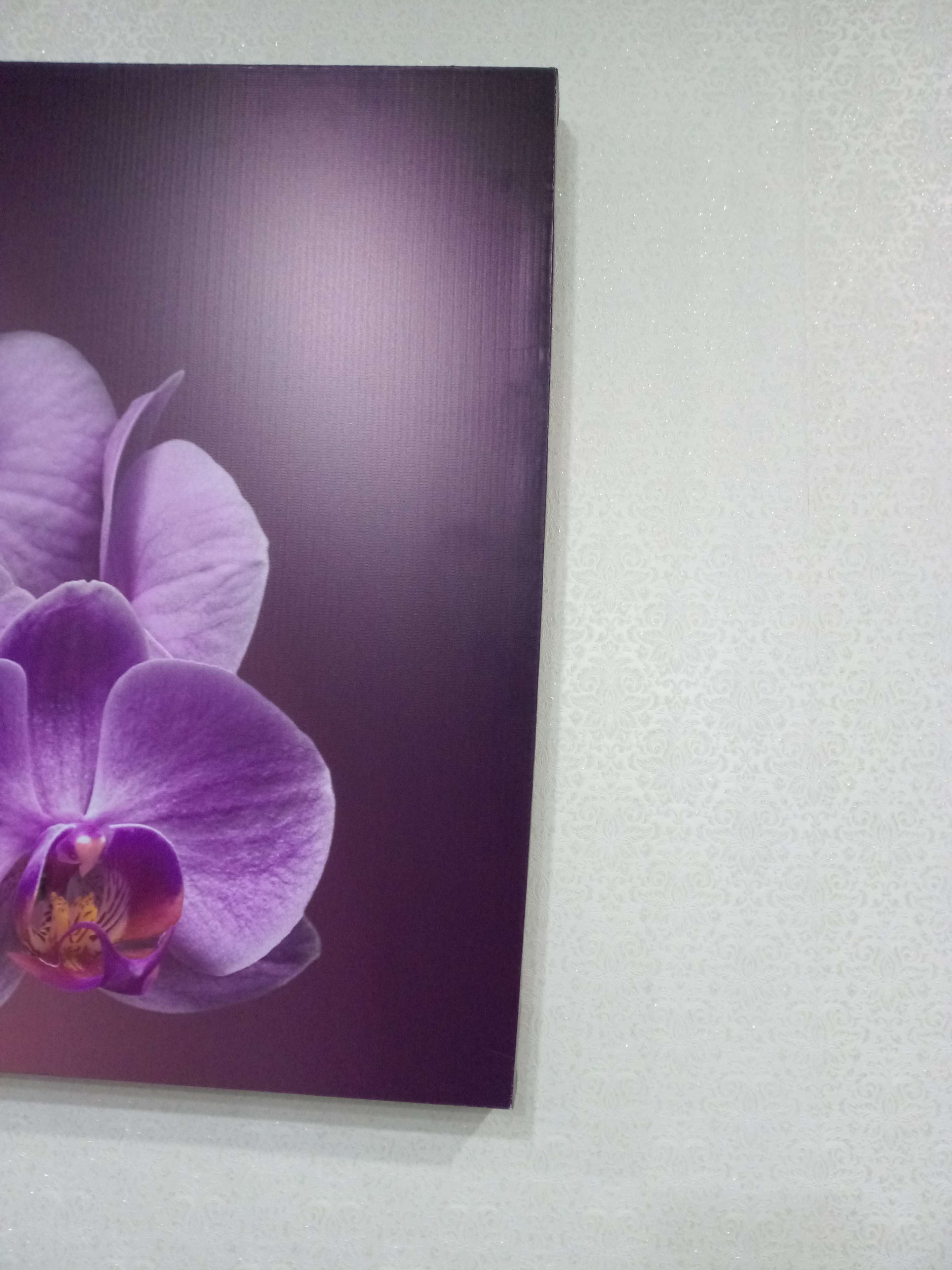 Фотография покупателя товара Картина на холсте" Ветка орхидеи" 50*100 см - Фото 2