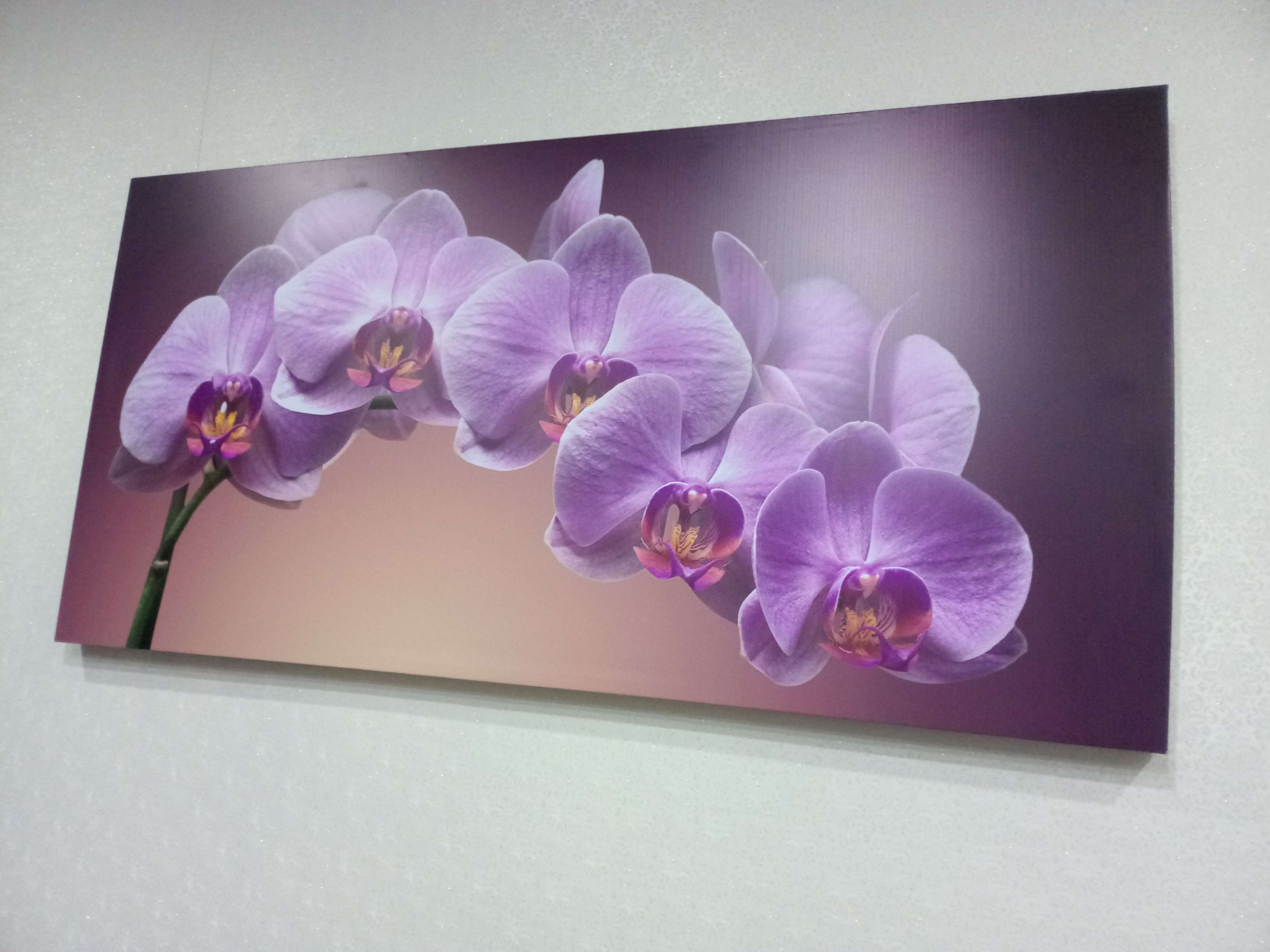 Фотография покупателя товара Картина на холсте" Ветка орхидеи" 50*100 см - Фото 3