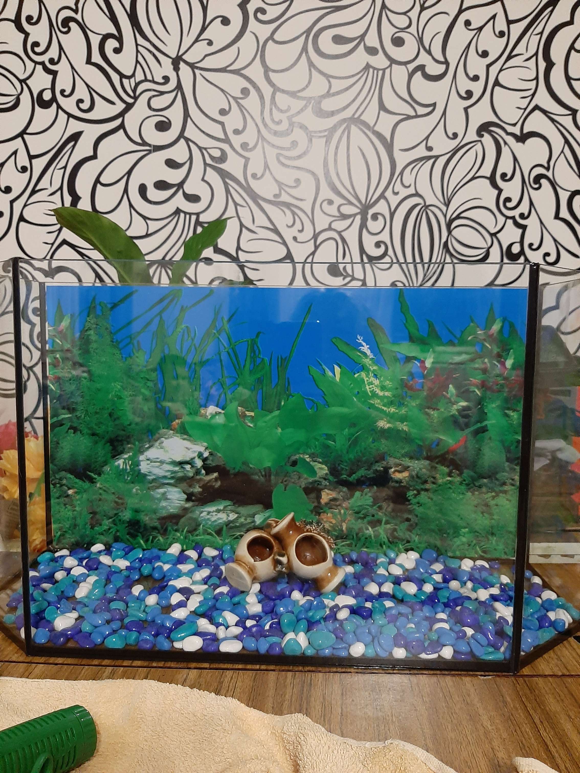 Фотография покупателя товара Грунт для аквариума "Галька цветная,  голубой-синий-белый-бирюзовый" 800г фр 8-12 мм - Фото 17