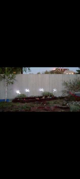 Фотография покупателя товара Садовый светильник на солнечной батарее «Одуванчики» 4 шт., 78 см, 320 LED, свечение белое - Фото 1