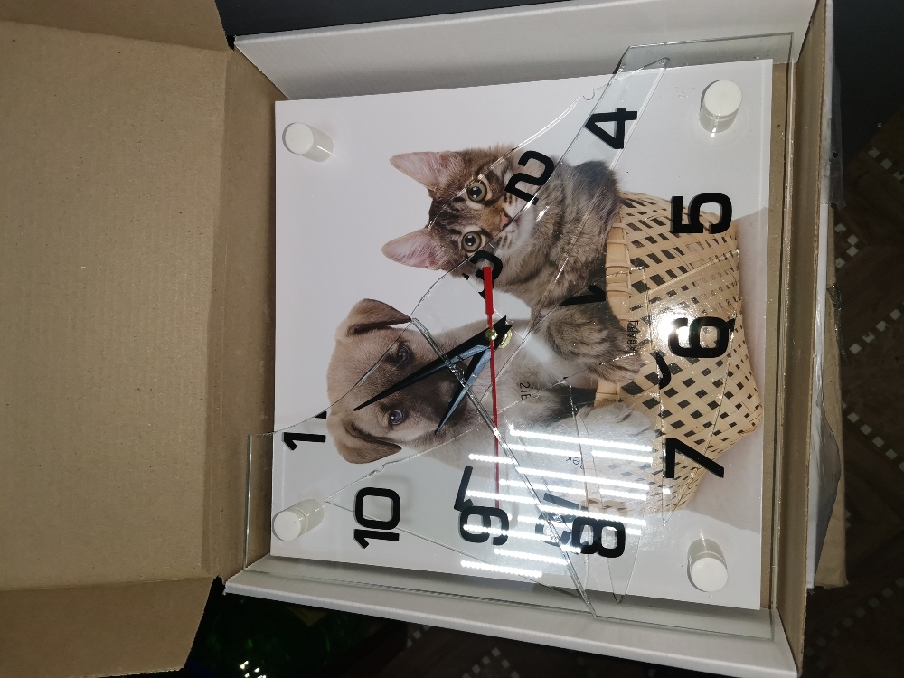 Фотография покупателя товара Часы настенные, интерьерные "Щенок с котенком", бесшумные, 25 х 25 см