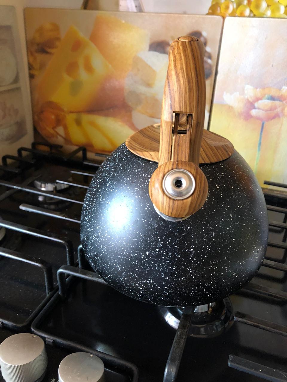 Фотография покупателя товара Чайник со свистком из нержавеющей стали Magistro Stone, 2,7 л, ручка soft-touch, индукция, цвет бежевый - Фото 2