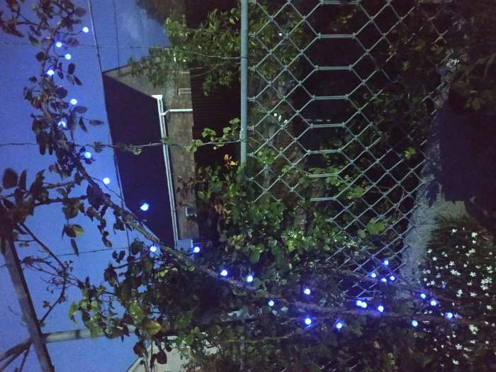 Фотография покупателя товара Гирлянда «Нить» 4.5 м с насадками «Шарики», IP44, тёмная нить, 30 LED, свечение синее, 2 режима, солнечная батарея - Фото 1