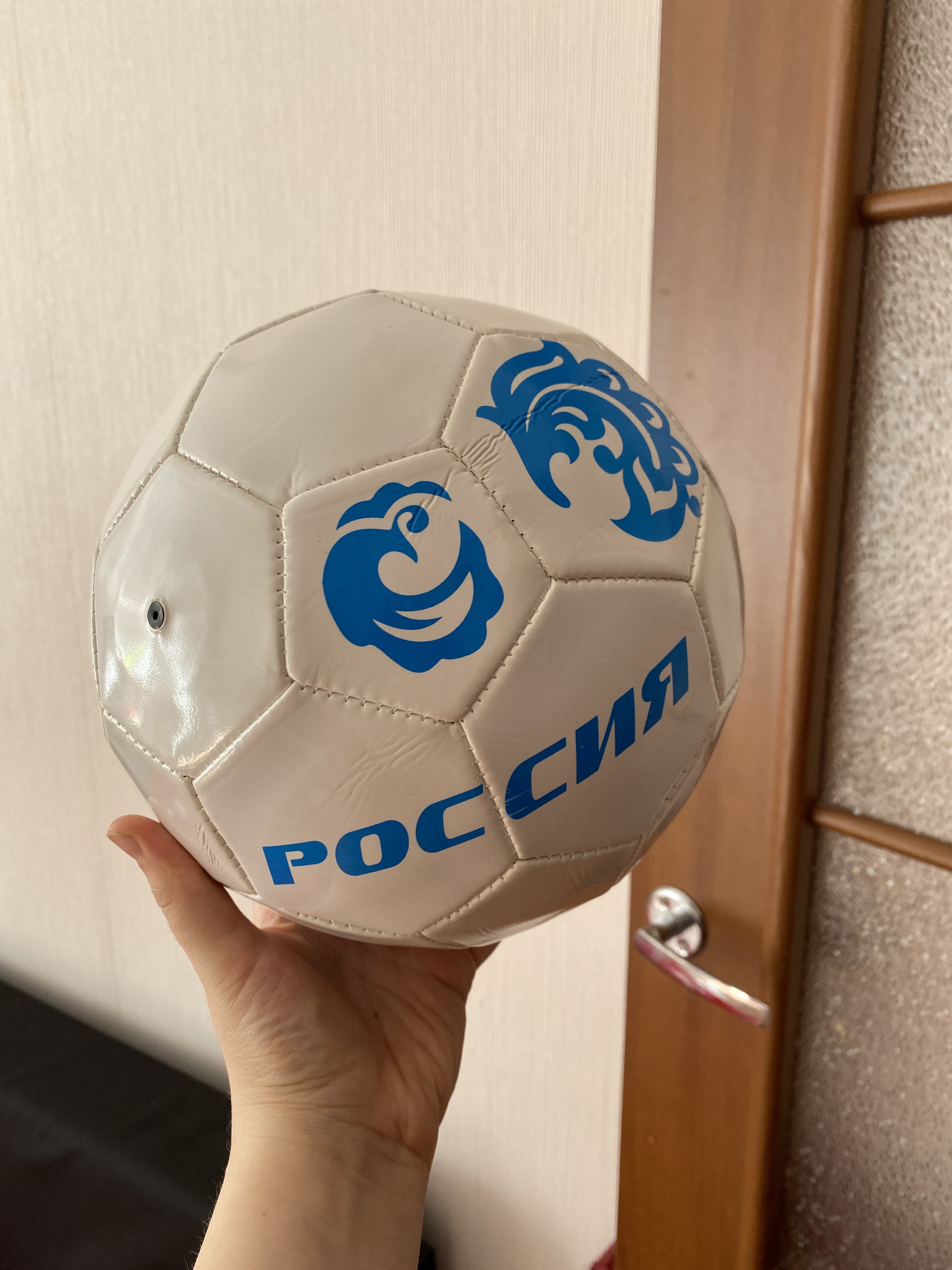 Фотография покупателя товара Мяч футбольный ONLYTOP «Россия», PVC, машинная сшивка, 32 панели, р. 5 - Фото 2