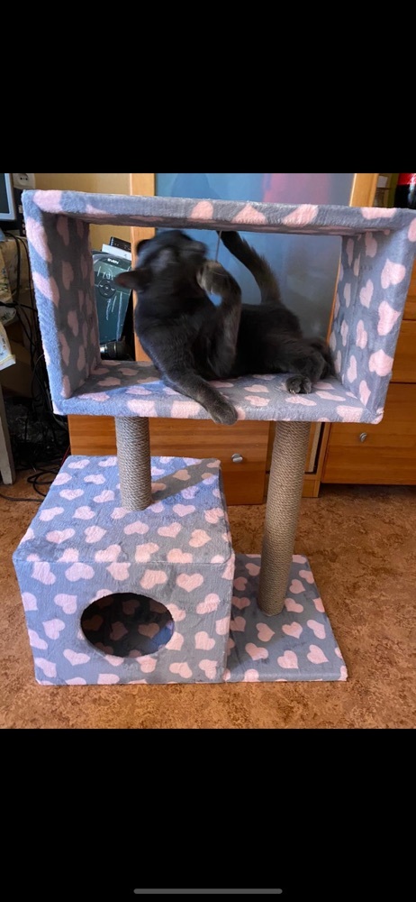 Фотография покупателя товара Домик для кошек с когтеточкой "Куб", с мезонином и игрушкой, 60 х 35 х 85 см, микс цветов