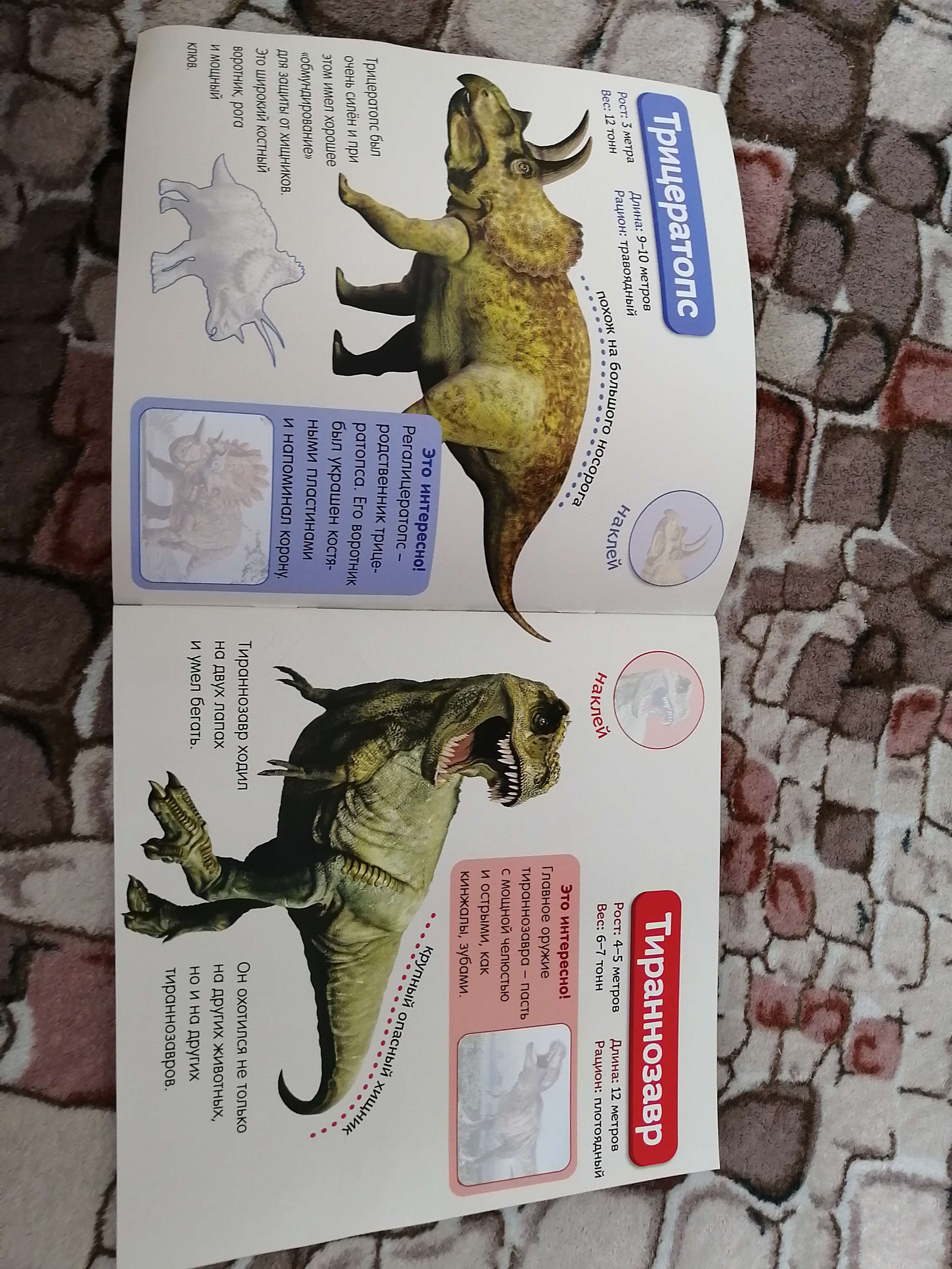 Фотография покупателя товара Наклейки «Мир динозавров», 12 стр. - Фото 1