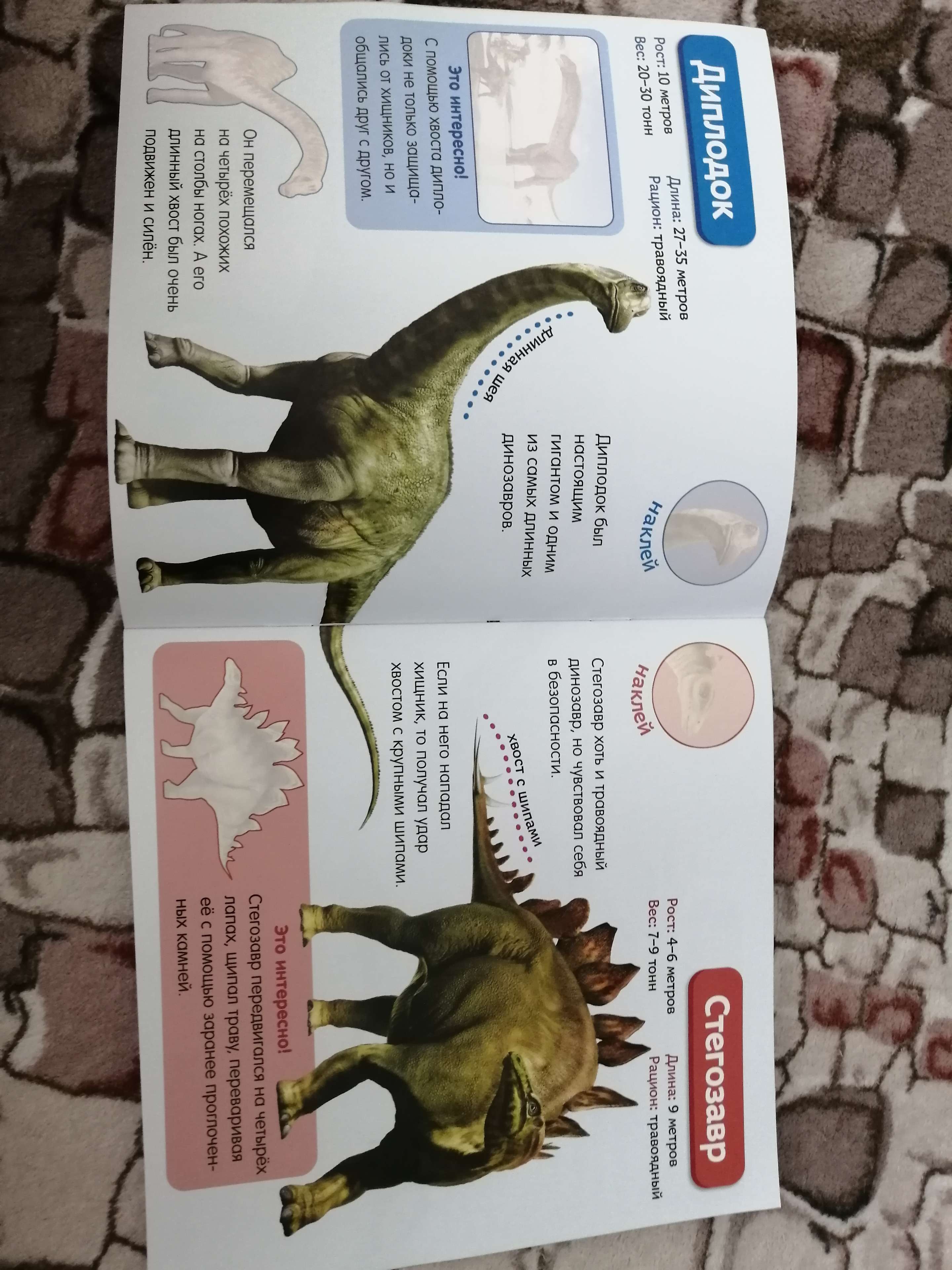 Фотография покупателя товара Наклейки «Мир динозавров», 12 стр. - Фото 3