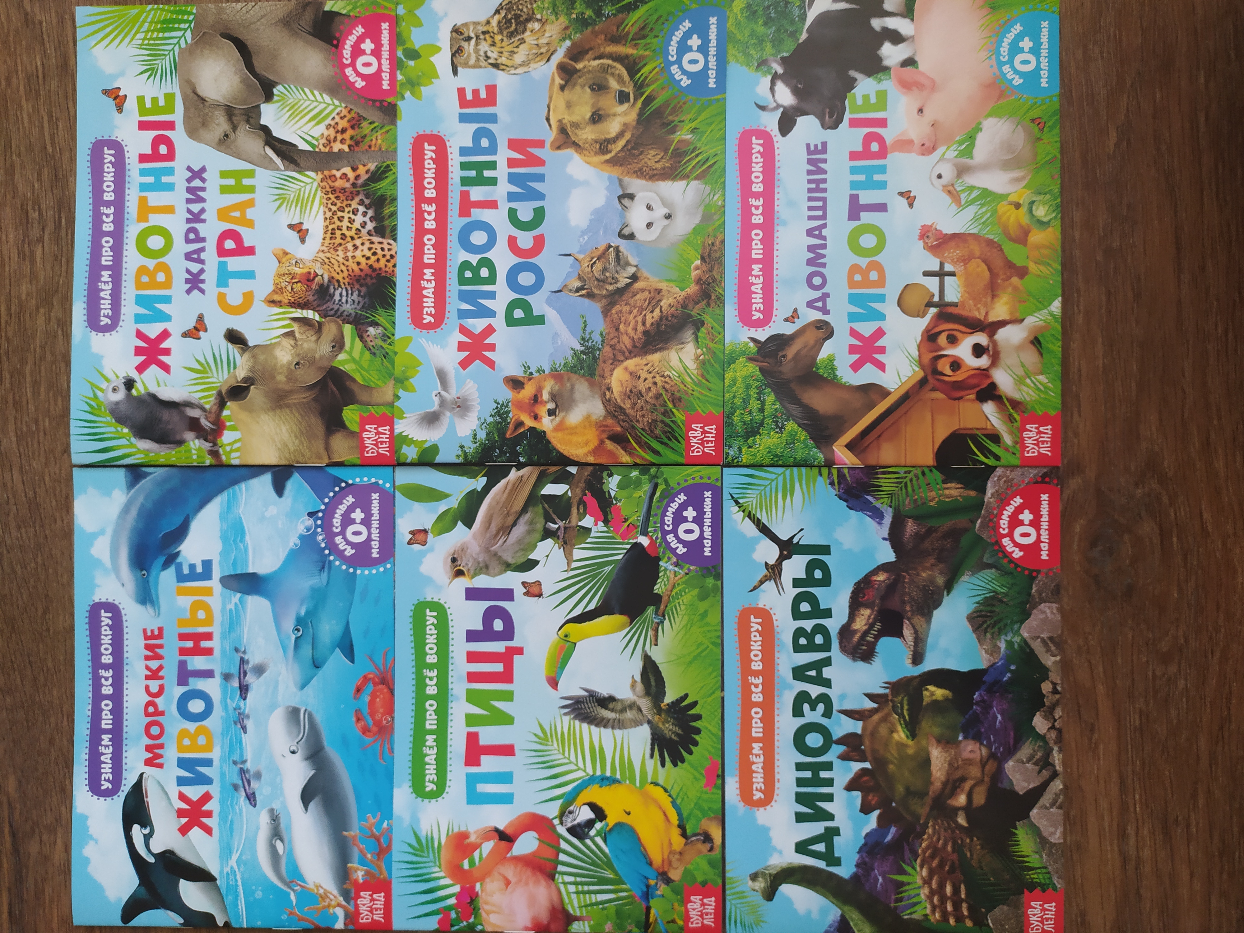 Фотография покупателя товара Обучающие книжки набор 6 шт. «Узнаём про всё вокруг», 108 животных и птиц - Фото 26
