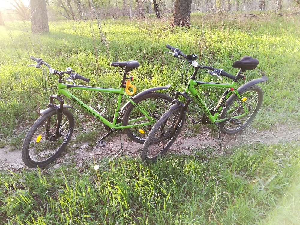 Фотография покупателя товара Велосипед 26" Progress модель Advance Disc RUS, цвет зеленый, размер рамы 19"